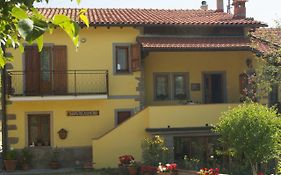 B&B Vista Casentino