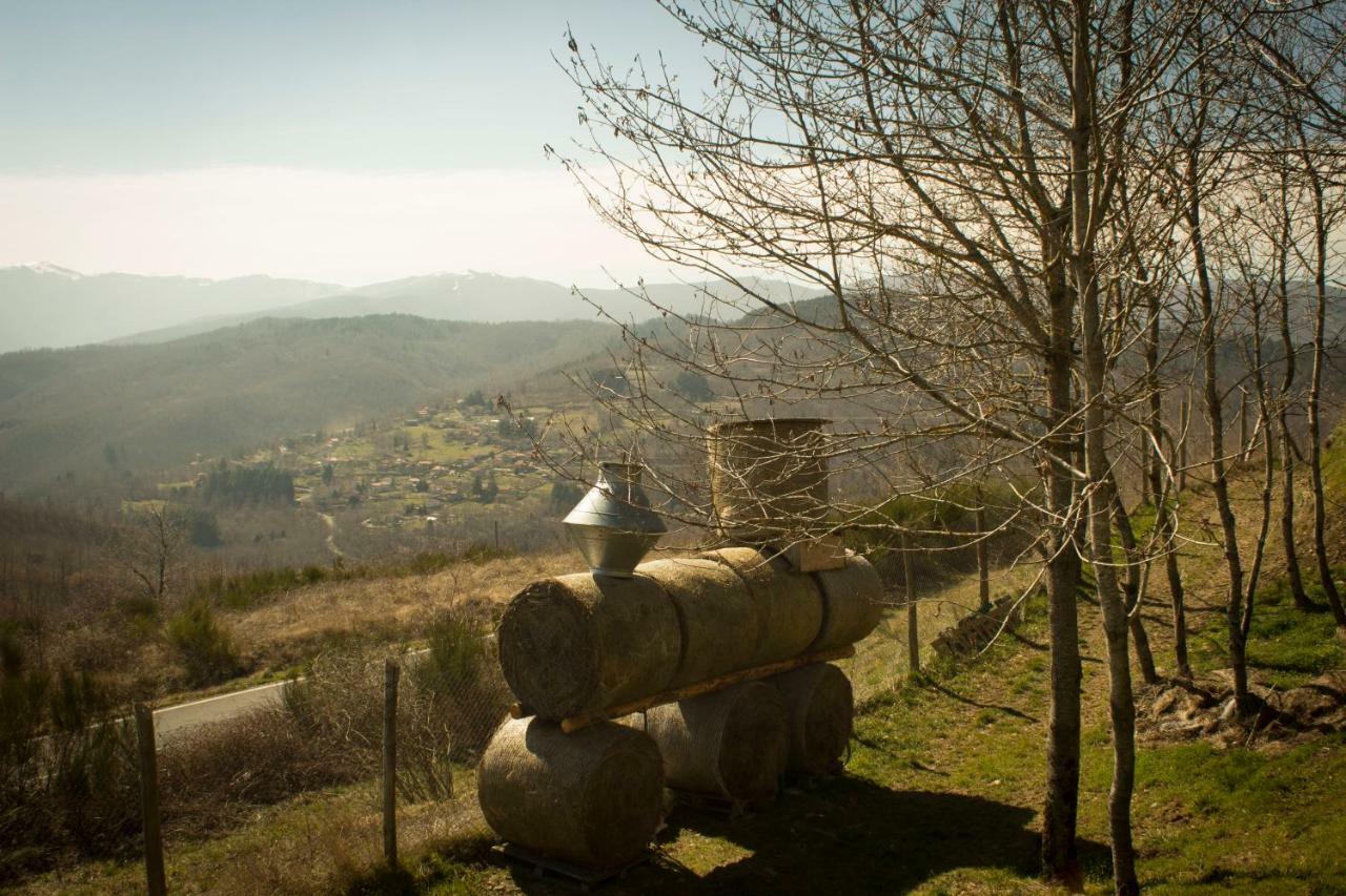 B&B Vista Casentino Pratovecchio Exterior foto