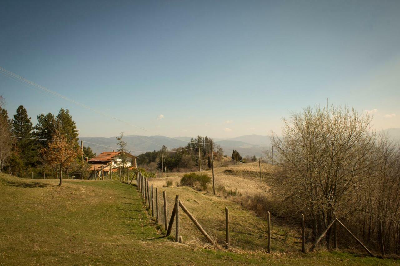 B&B Vista Casentino Pratovecchio Exterior foto